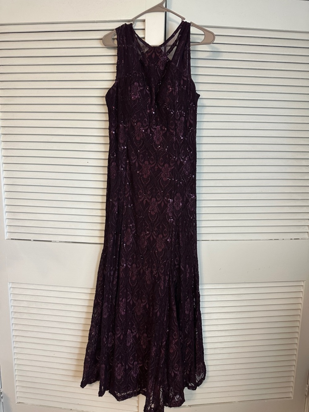 R&M Richards Deep Plum Sequin Lace Maxi Dress